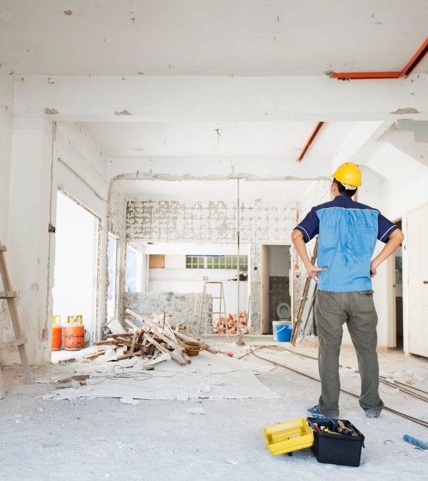 Article 5 – Lorem Ipsum